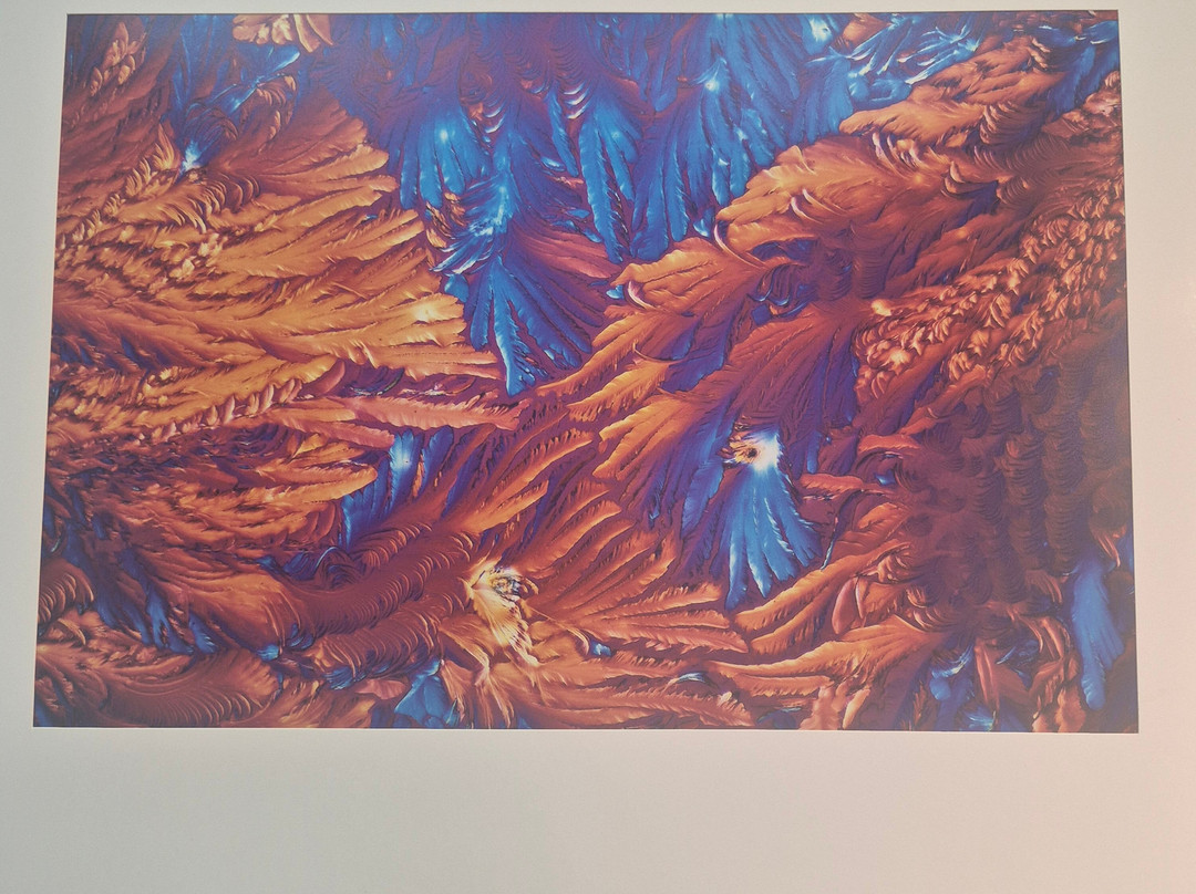 Omsk Museum of Education-鄂木斯克必去景点