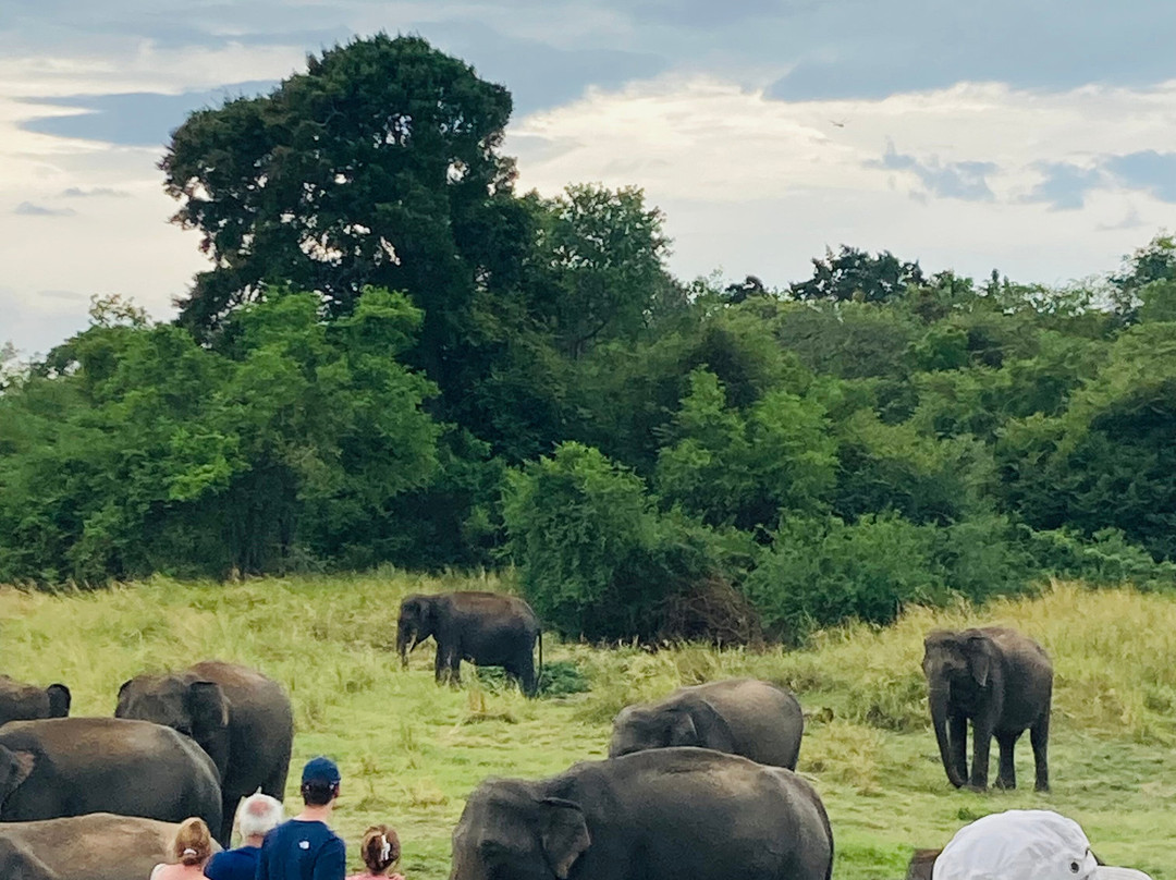 Breeze Ceylon Trails-Kekirawa必去景点