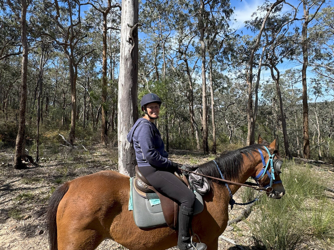 Chapman Valley Horse Riding-Howes Valley必去景点
