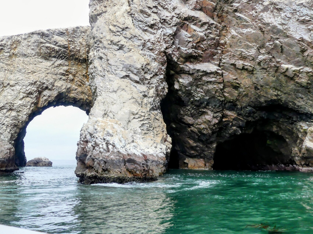 Ballestas Islands-皮斯科必去景点