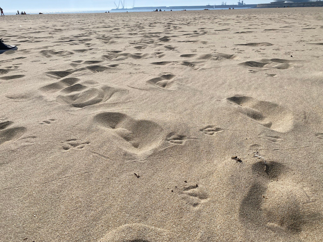 Matosinhos Beach-马托西纽什必去景点