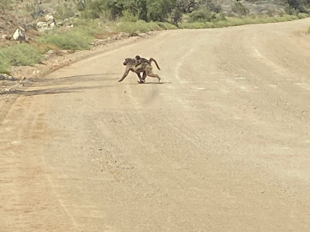 Namib Offroad Excursions-吕德里茨必去景点