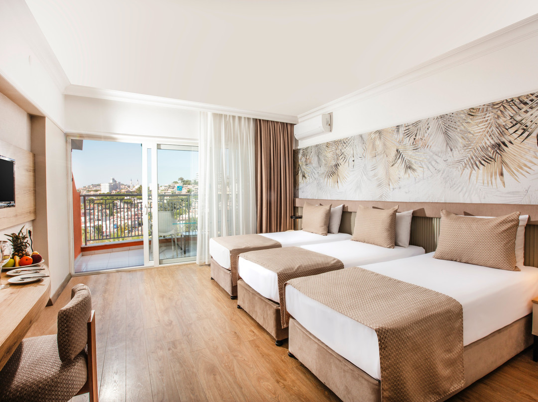 Palmin Hotel主图