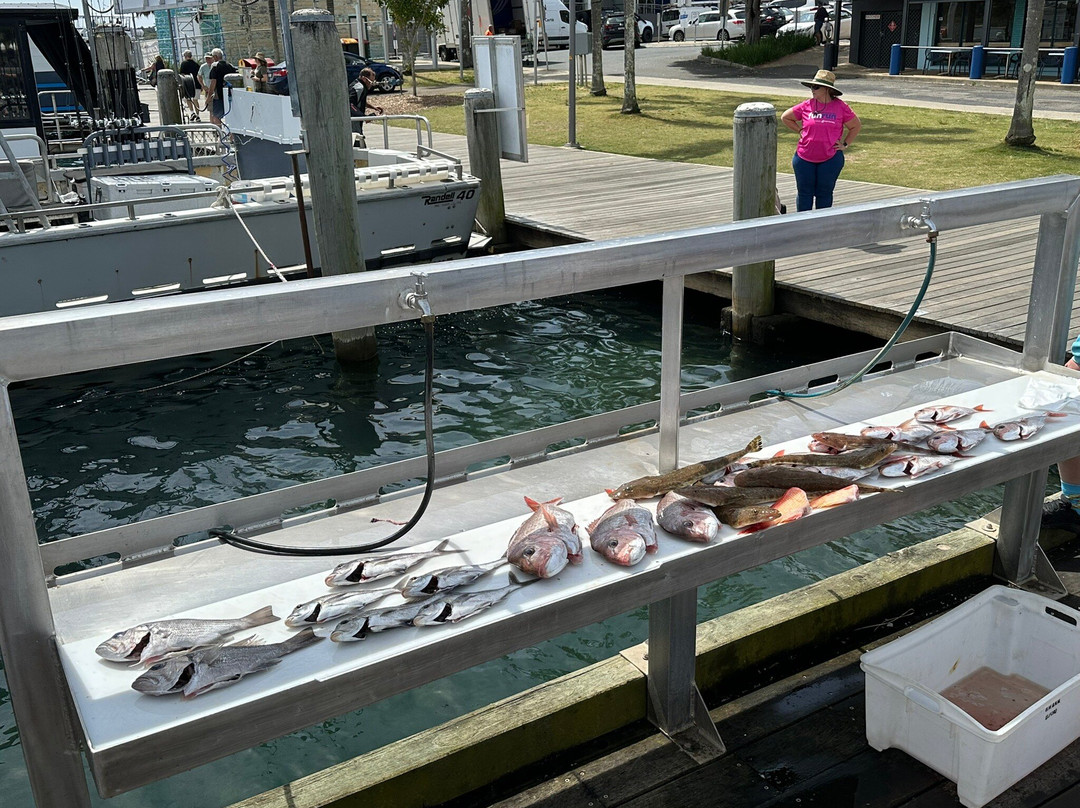 Port Macquarie Fishing Charters-麦克夸利港必去景点