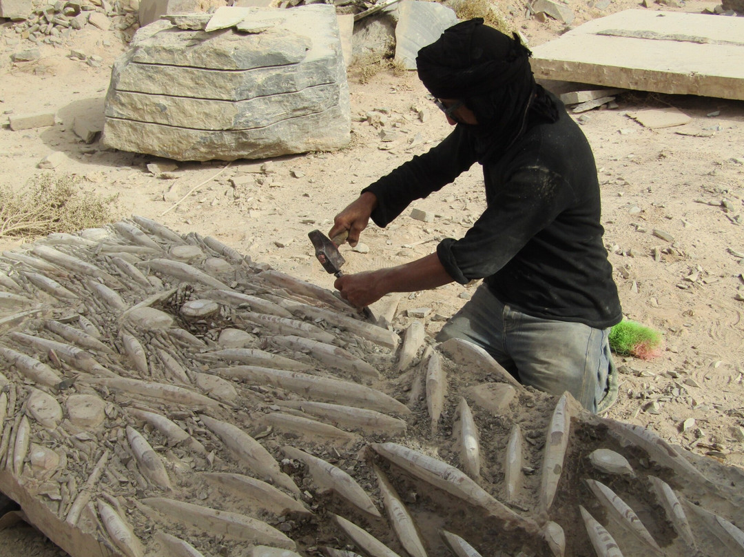 Macro Fossiles Kasbah-Erfoud必去景点
