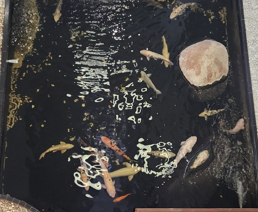 Best Western Plus Hotel Am Schlossberg主图