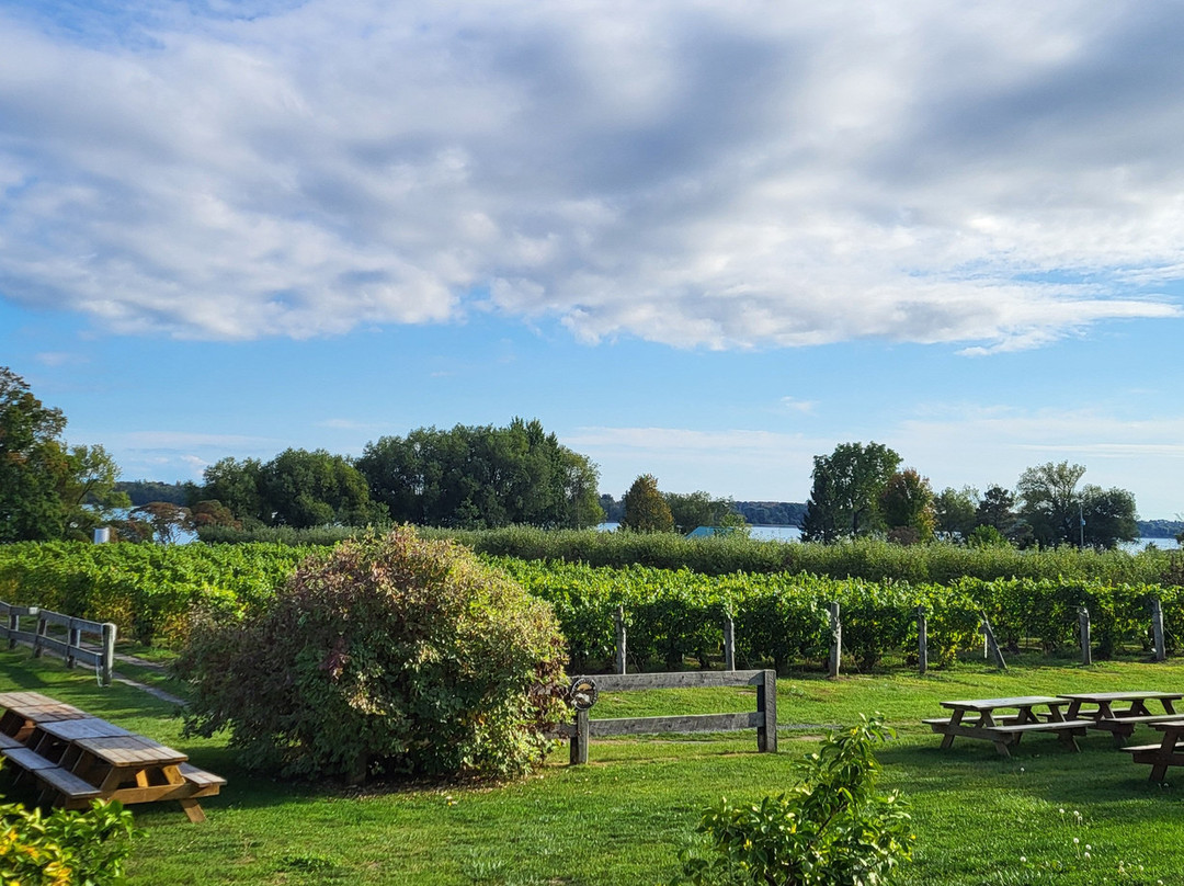 Waupoos Estates Winery-Waupoos必去景点