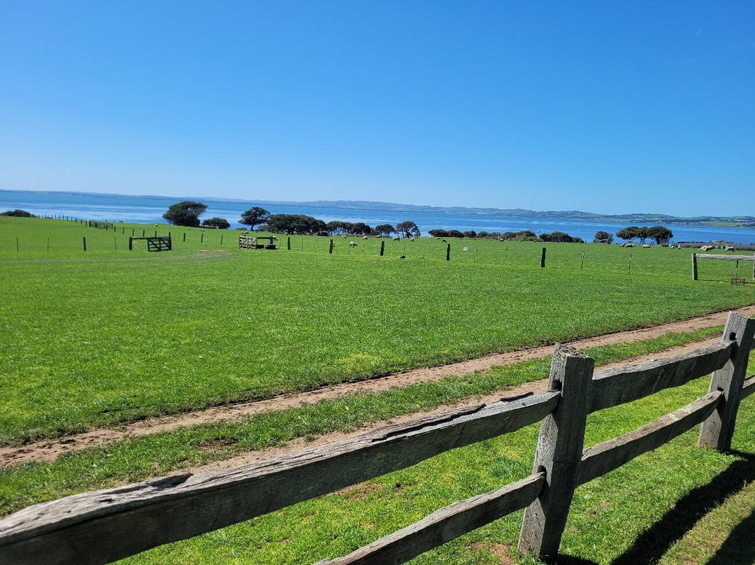 Churchill Island-菲利普岛必去景点