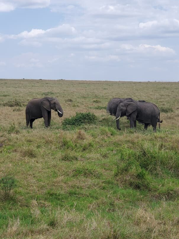 Destinations Kenya Safari-内罗毕必去景点