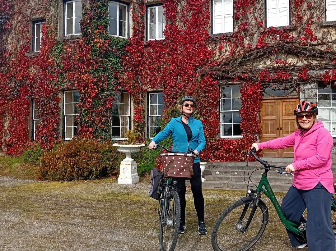 PADDY&NELLY BIKE HIRE-Tours-韦斯特波特必去景点