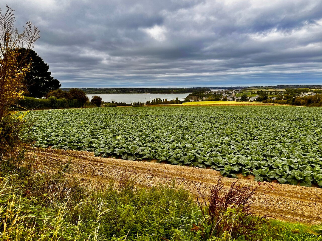 Visite Bretagne-Janze必去景点