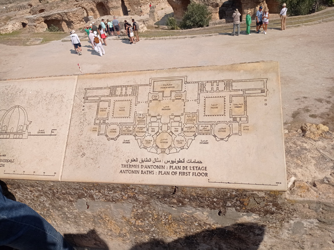 Villas Romaines-迦太基必去景点