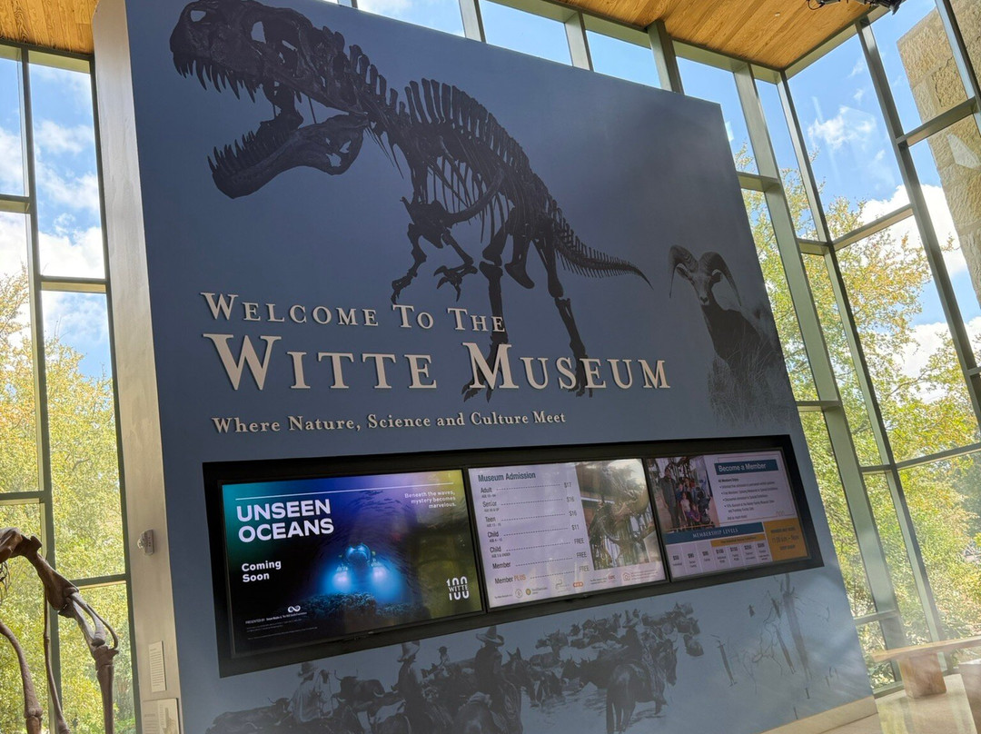 威特博物馆-圣安东尼奥市必去景点