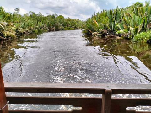 Tanjung Puting Open Trip