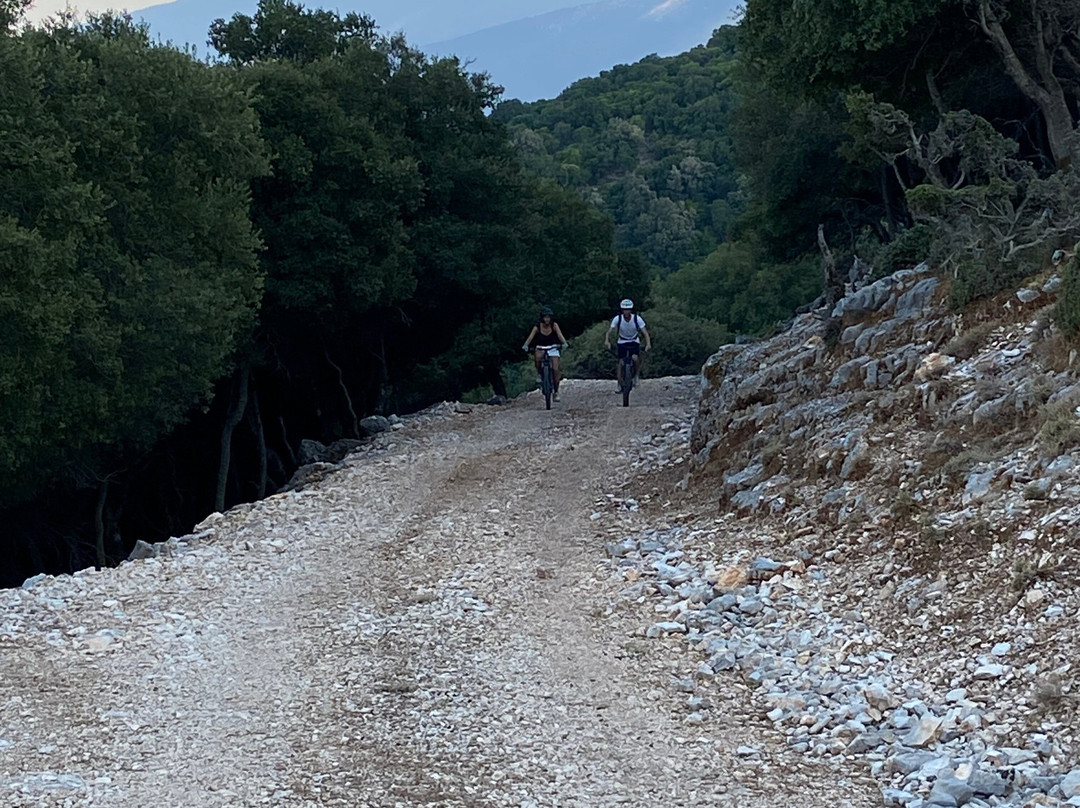 Kefalonia E-Mountain Bike Experience-阿吉亚埃菲米亚必去景点