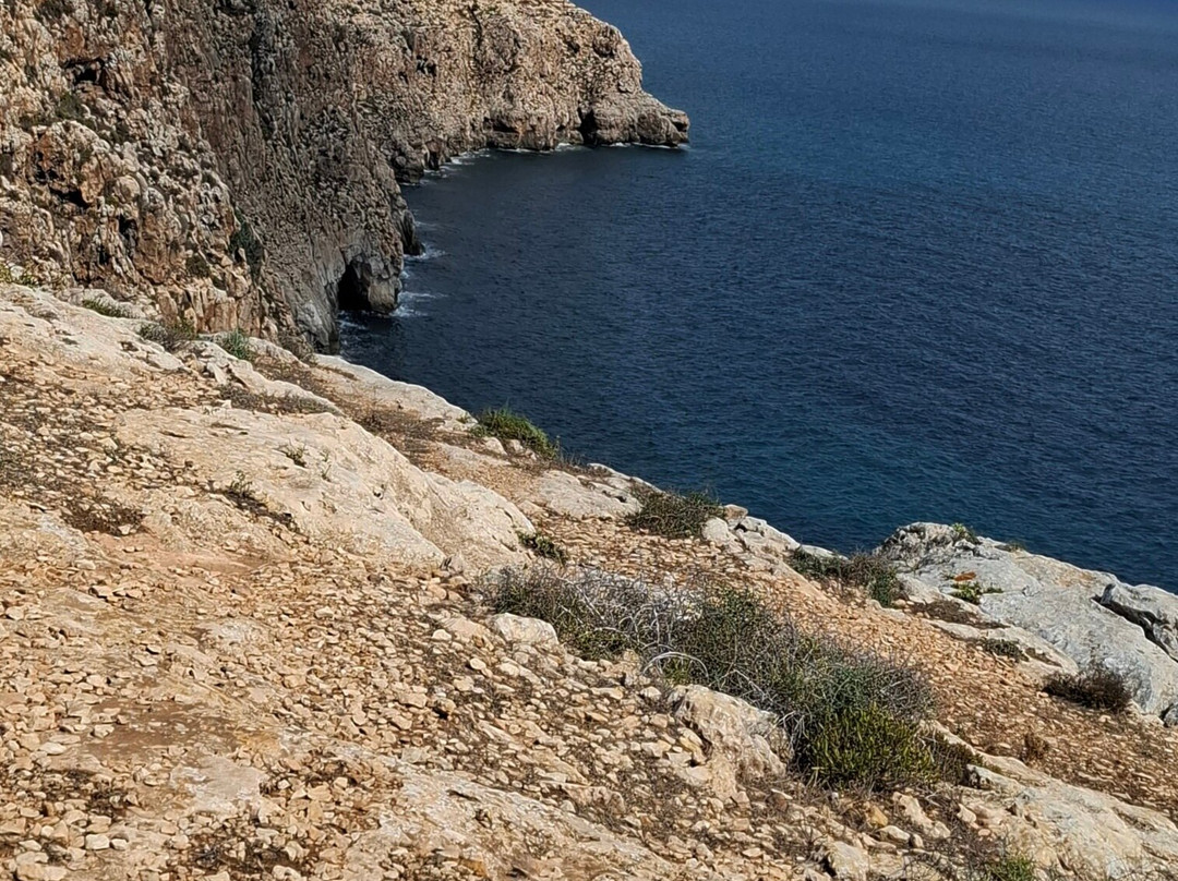 National Park Cap de Barbaria-Es Cap de Barbaria必去景点