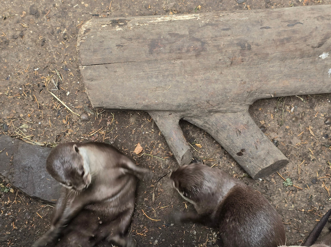 Shepreth Wildlife Park-Shepreth必去景点