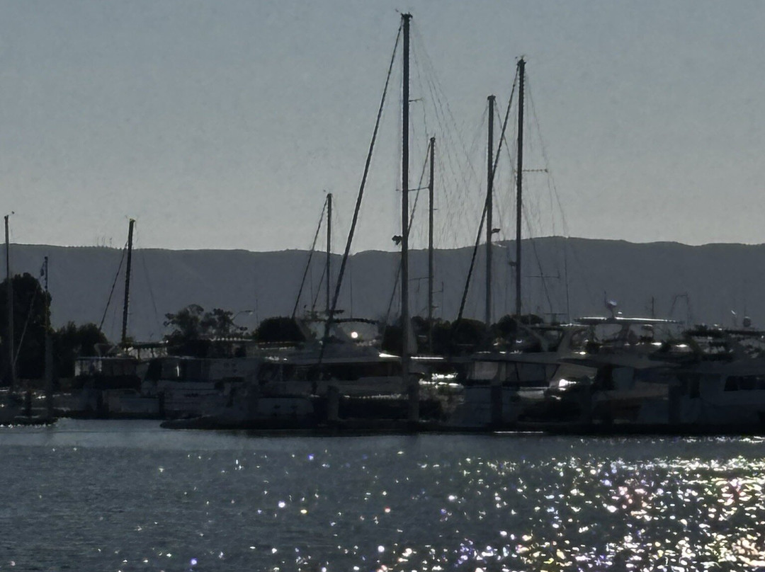 Ballena Isle Marina-阿拉米达必去景点