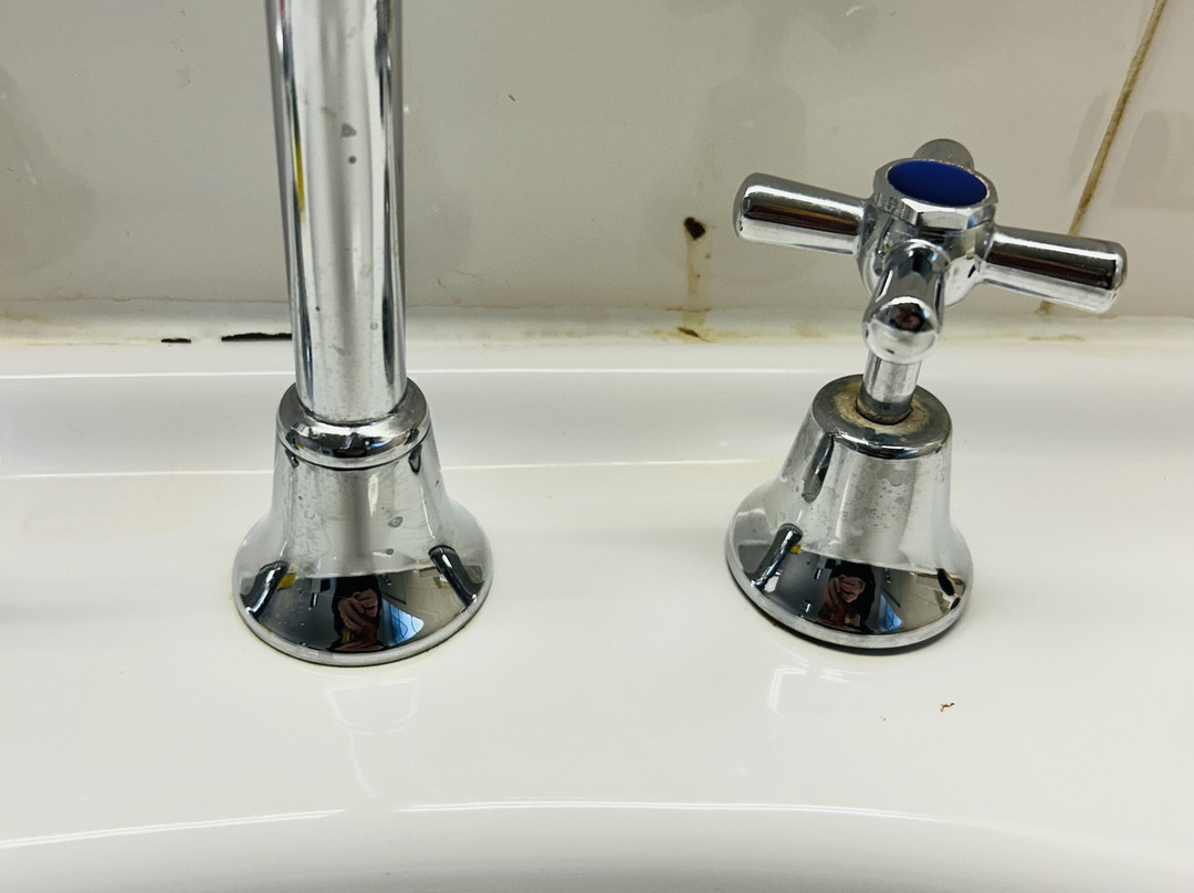 狐狸和猎犬酒店主图