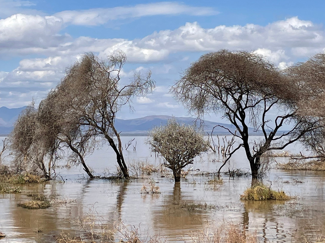 Active Tanzania Adventures-阿鲁沙必去景点