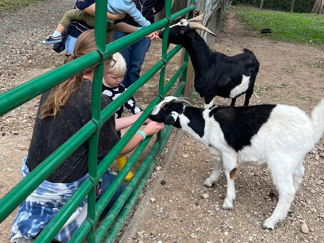 Montpelier Farm-Upper Marlboro必去景点