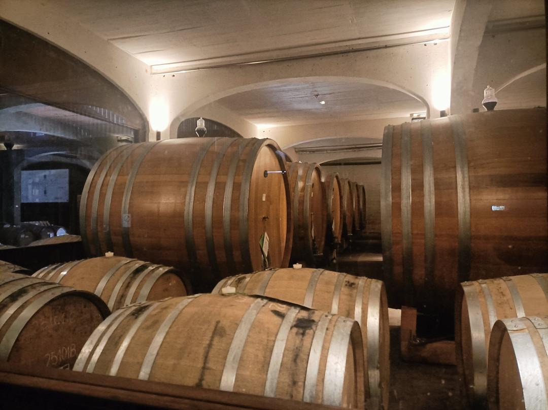 Viñedos Veramonte-卡萨布兰卡必去景点