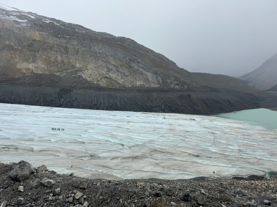Athabasca Glacier-贾斯珀国家公园必去景点