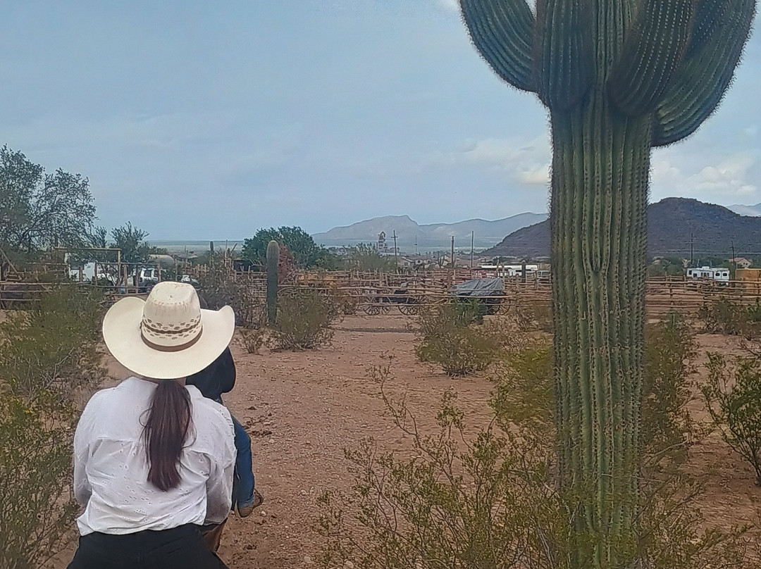 Tucson Mountain Stables-图森必去景点