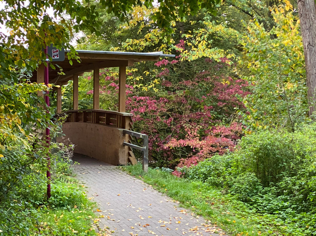 Hotel Am Steinertsee - Kassel-ost主图