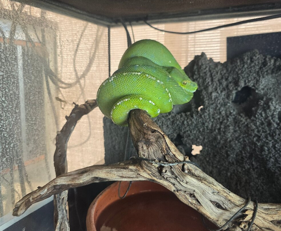 Reptisland-Melidoni必去景点