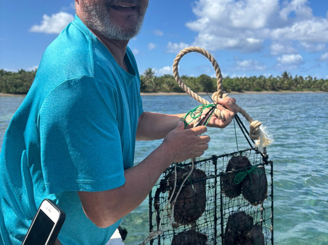 Civa Pearl Farm-塔韦乌尼岛必去景点