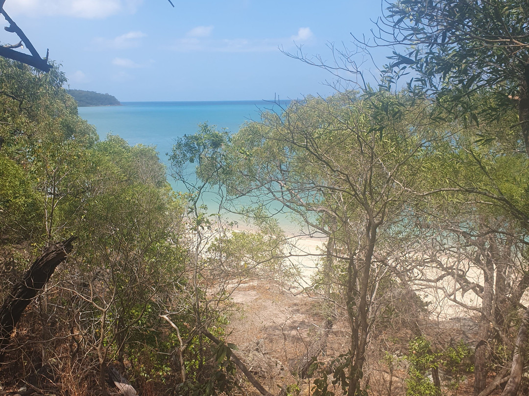 SeaLink Queensland - Magnetic Island Ferry Services-汤斯维尔必去景点