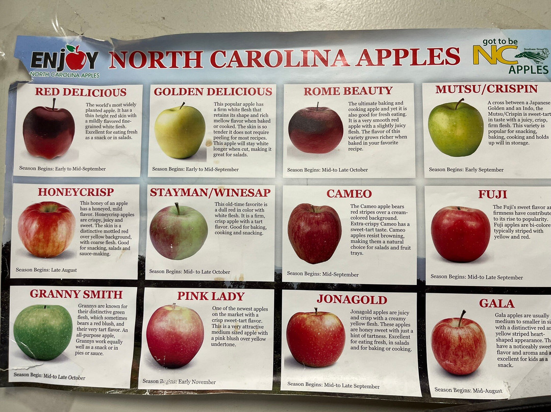 Barber Orchard Fruitstand-韦恩斯维尔必去景点