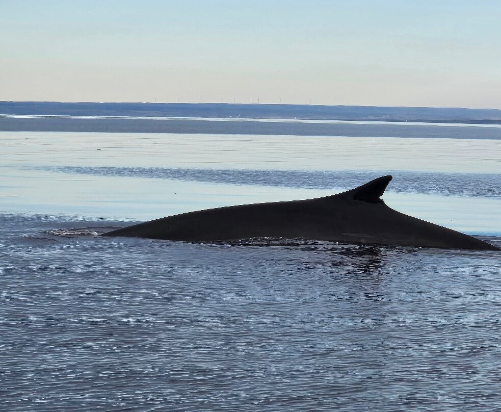 Tadoussac Autrement-泰道沙克必去景点