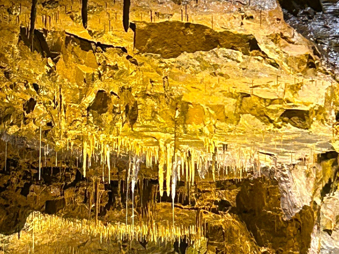 The National Showcaves Centre for Wales-null必去景点