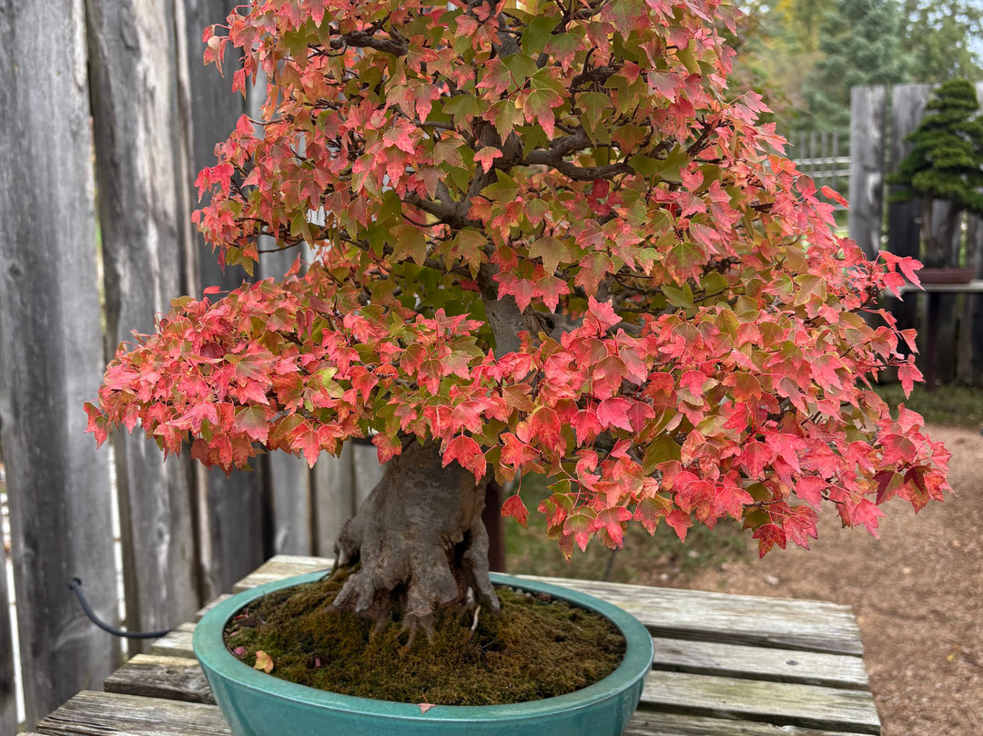 Lynden Sculpture Garden-密尔沃基必去景点
