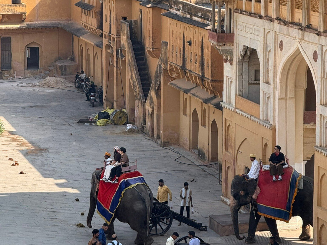 Sariska Wild Ventures-Sariska必去景点