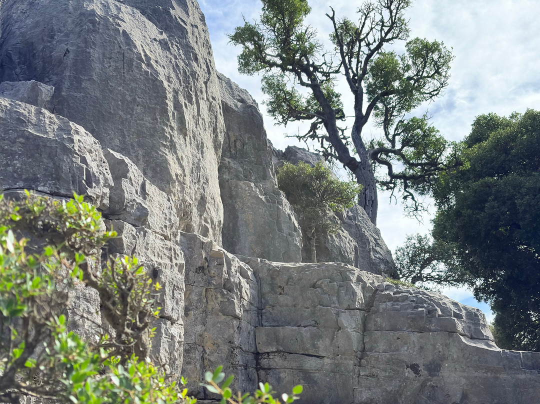 Truffle Hunter Rouvas Crete-伊拉克利翁必去景点