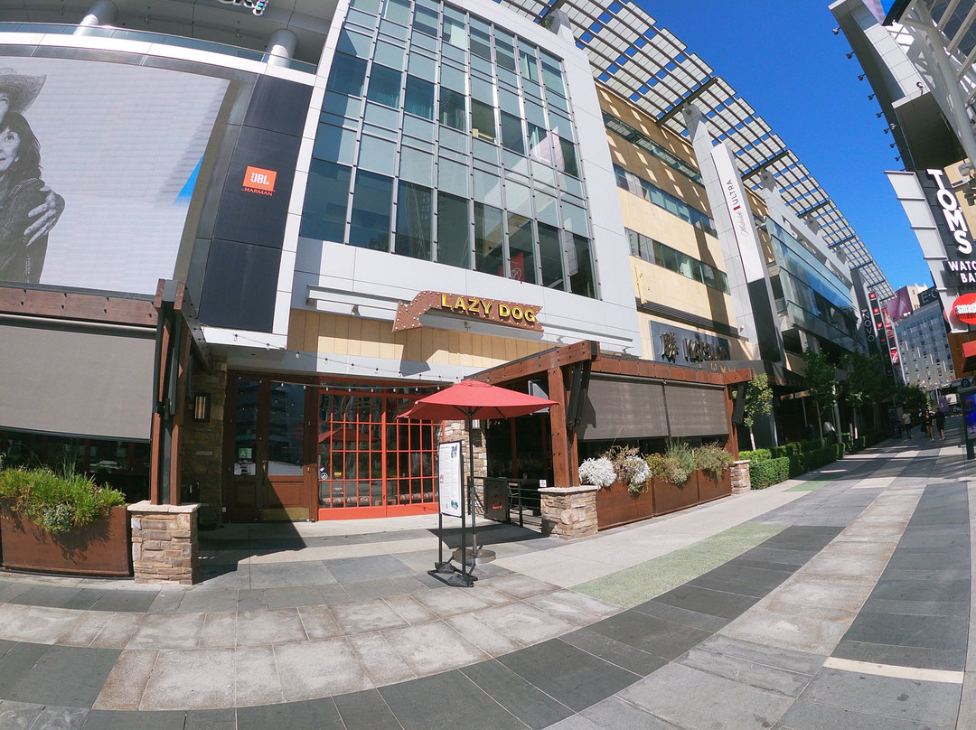 Lazy Dog Restaurant & Bar