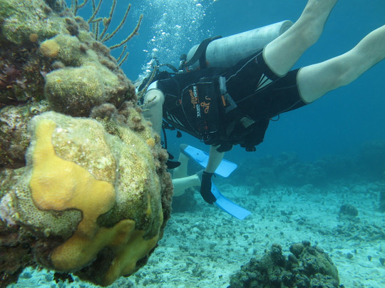 Atlantis Varadero-巴拉德罗必去景点