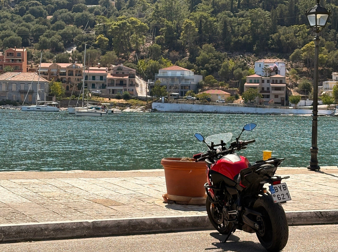 San Lorenzo Village主图