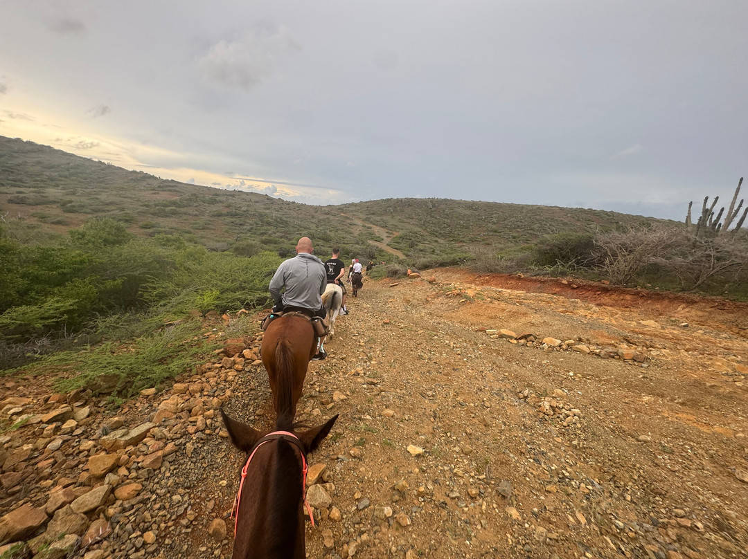 Rancho Loco-Santa Cruz必去景点