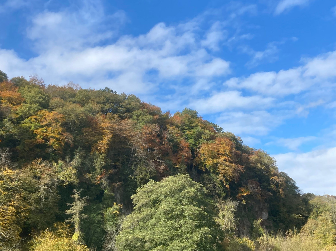 King Arthur's Cave-Symonds Yat必去景点