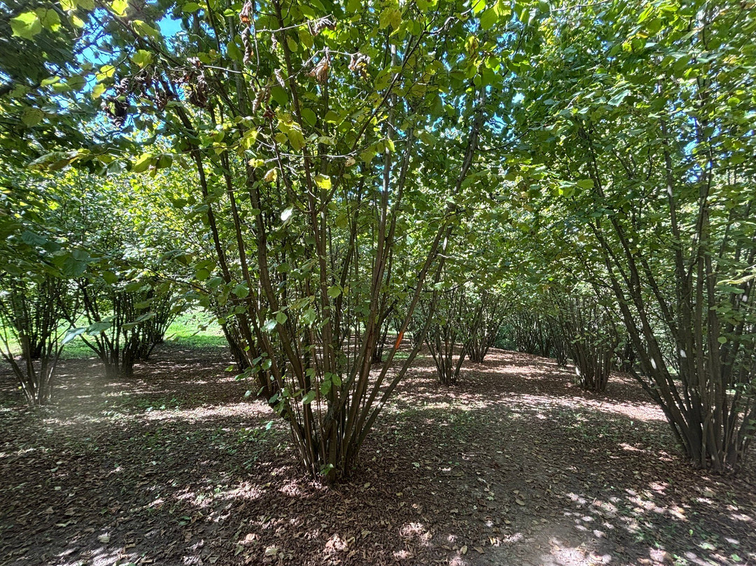 Eco Lodge Langhe主图