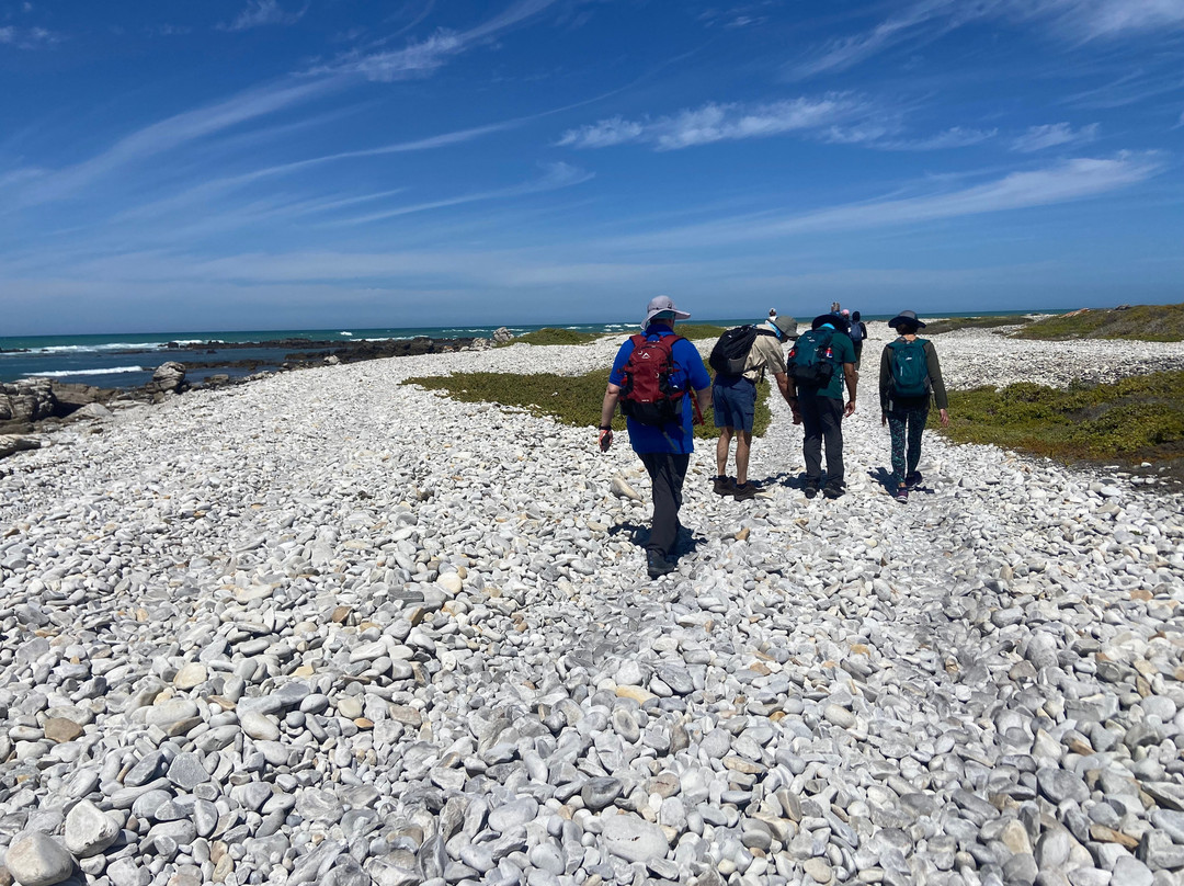 Wild Wellness-赫曼努斯必去景点