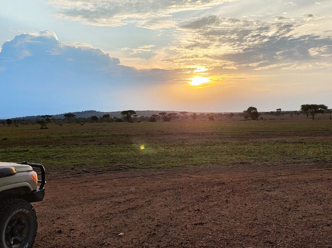 Komba Tanzania Safari-阿鲁沙必去景点