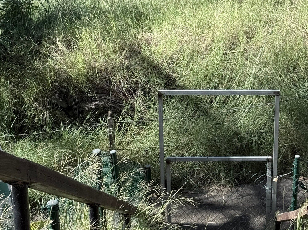 Black Diamond By Philippe Hureau-Le Diamant必去景点