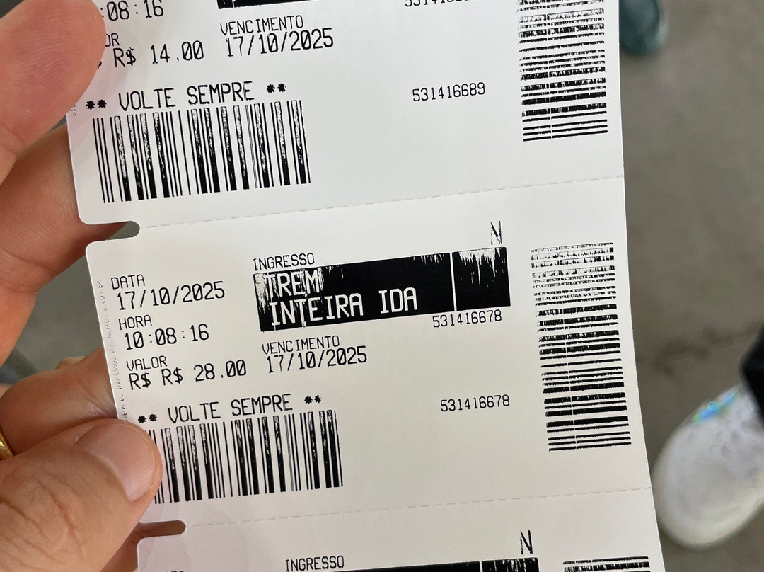 Trem Do Devoto-阿帕雷西达必去景点