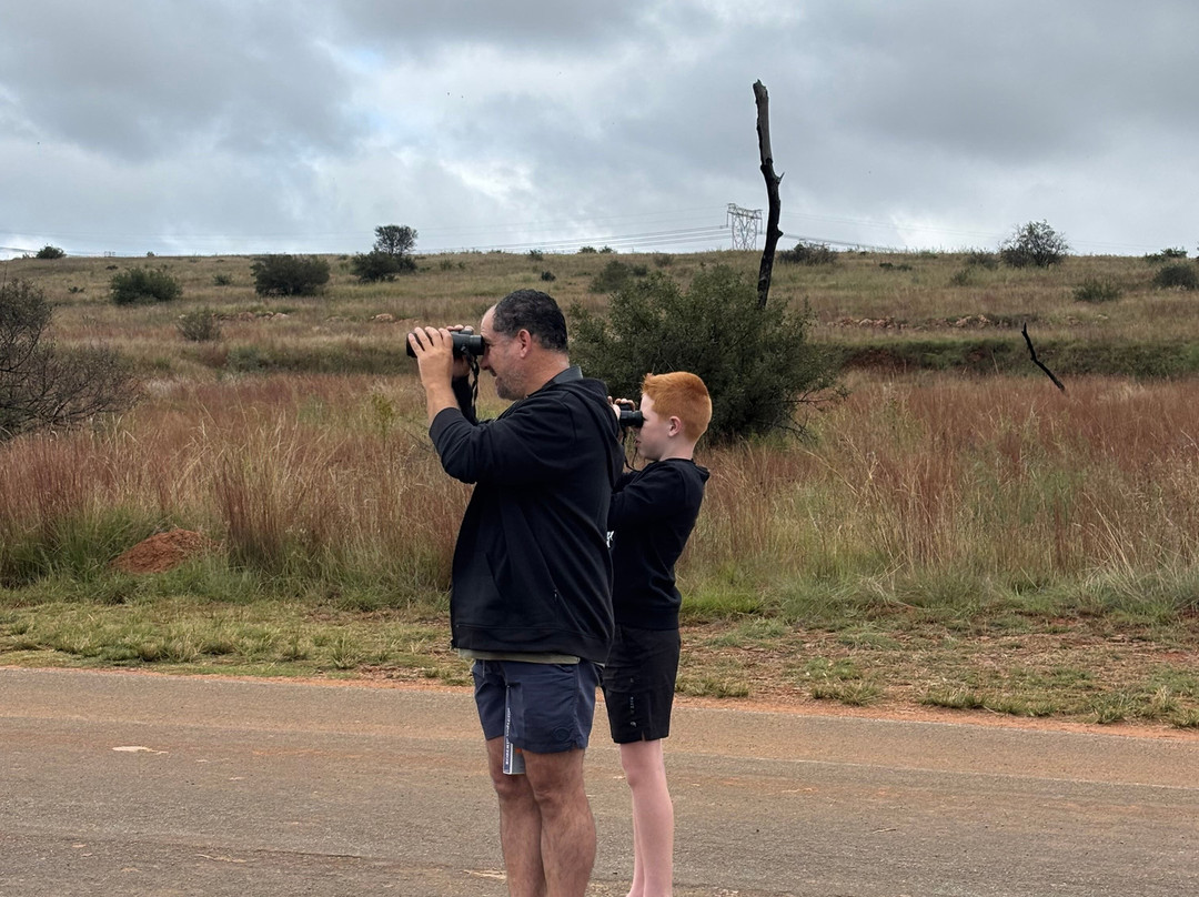 Lourie Trips & Tours