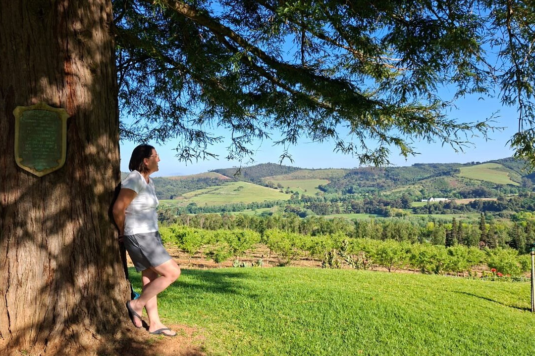 The Hydro; Stellenbosch主图